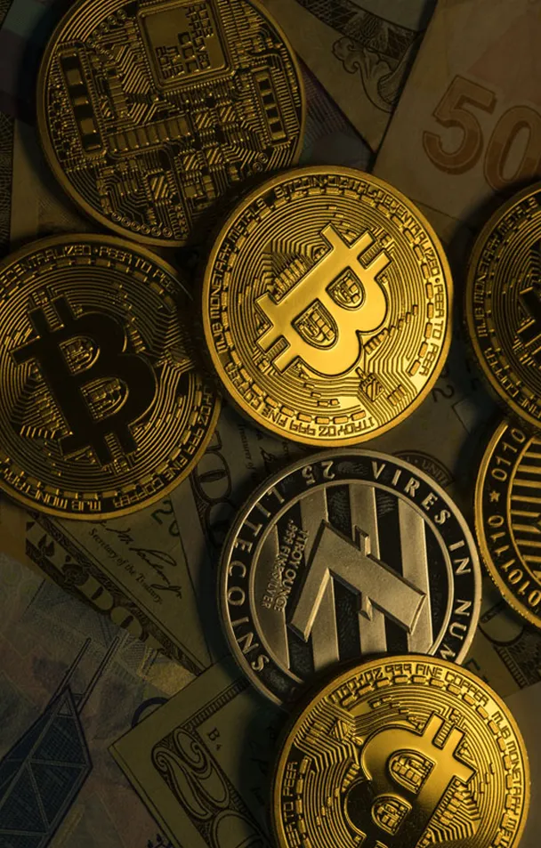 Verny Tradex - Enhancing Your Trading Journey with Verny Tradex